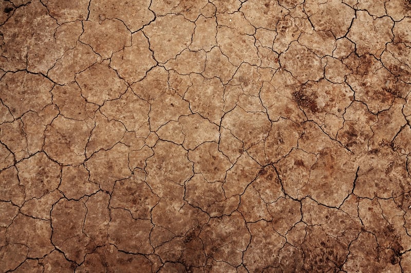 Sorcery in Soil