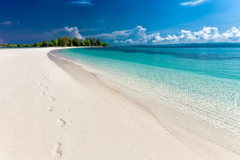 Tropical Paradise